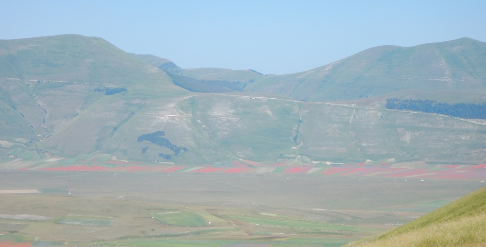 Monte Vettore da Forca di Presta