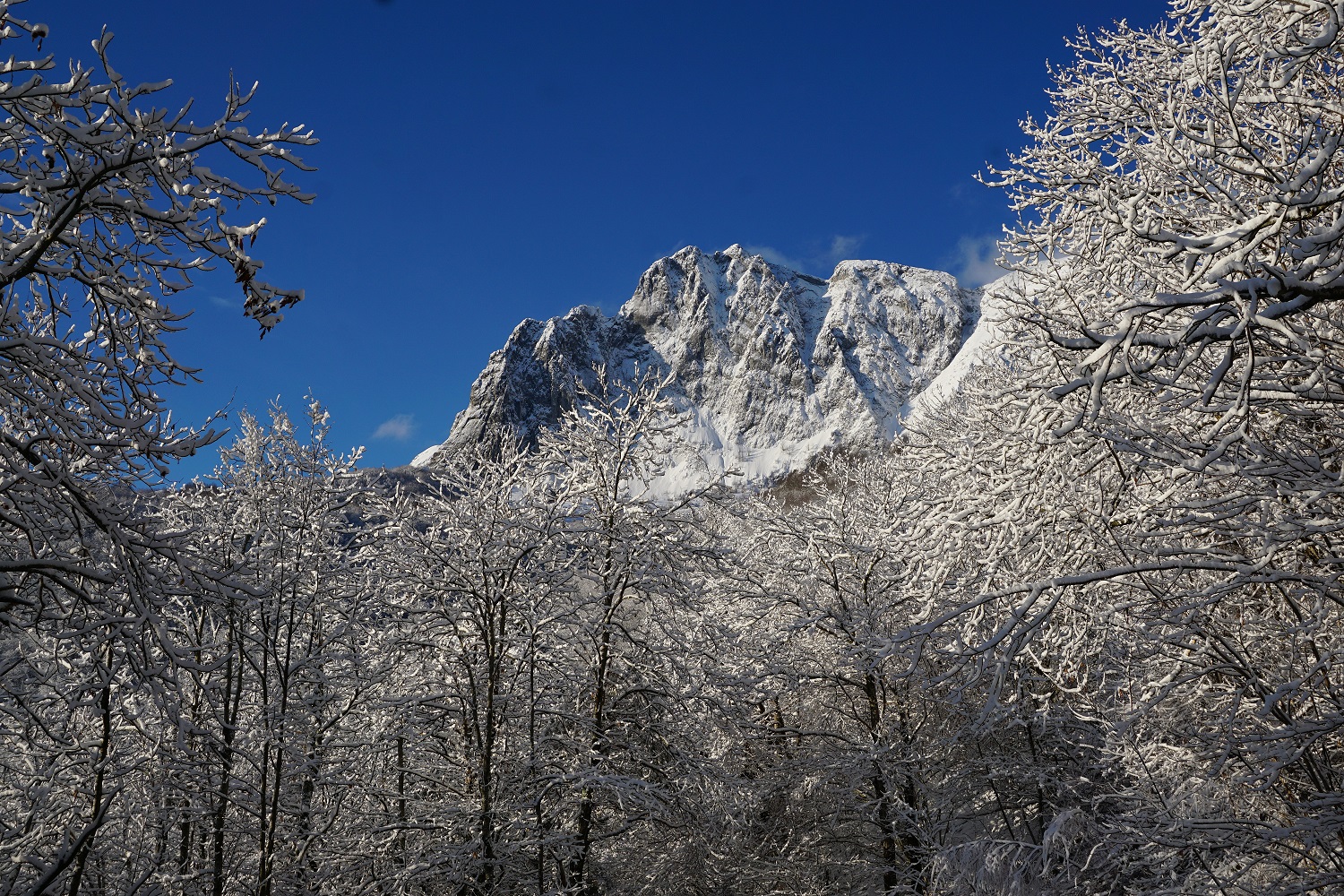 Il monte Tambura dalla Carcaraia e Cresta Nord-Est