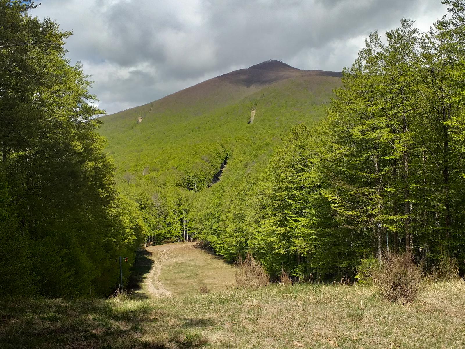 Cima della Montagnola