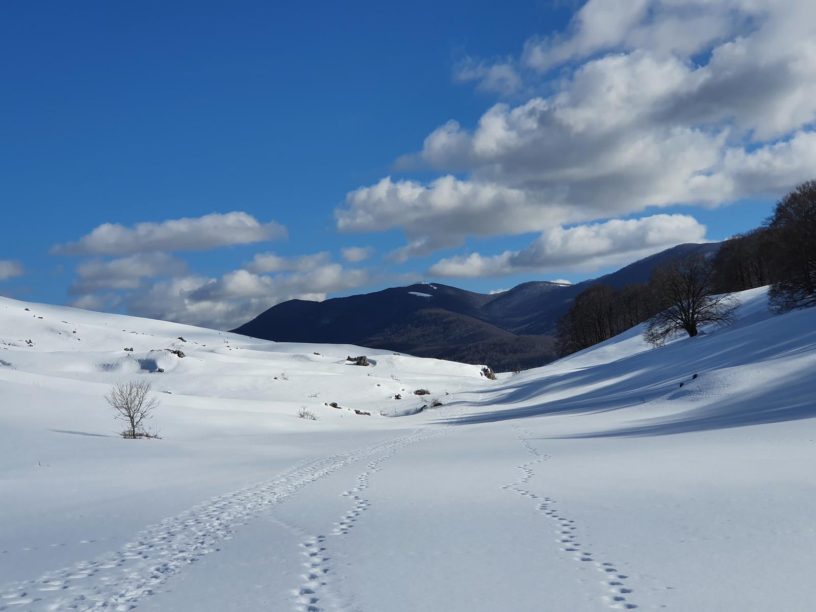 ruderi di Camerata Vecchia e Monte Camposecco da Camerata Nuova