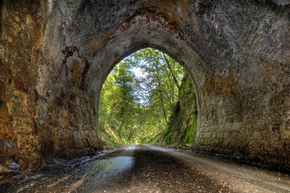 Bosco della Ficuzza, Antica Ferrovia, Laghetti di Riccio e Pulpito del Re